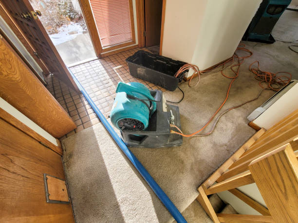 Best 24-hour water damage restoration  in South Sumter, SC