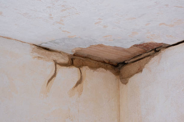 Best Flood damage cleanup  in South Sumter, SC