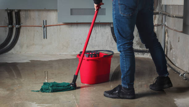 Best Emergency water damage restoration  in South Sumter, SC