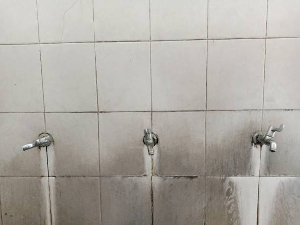 Best Mold removal after water damage  in South Sumter, SC